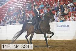 14buck_3846 proof