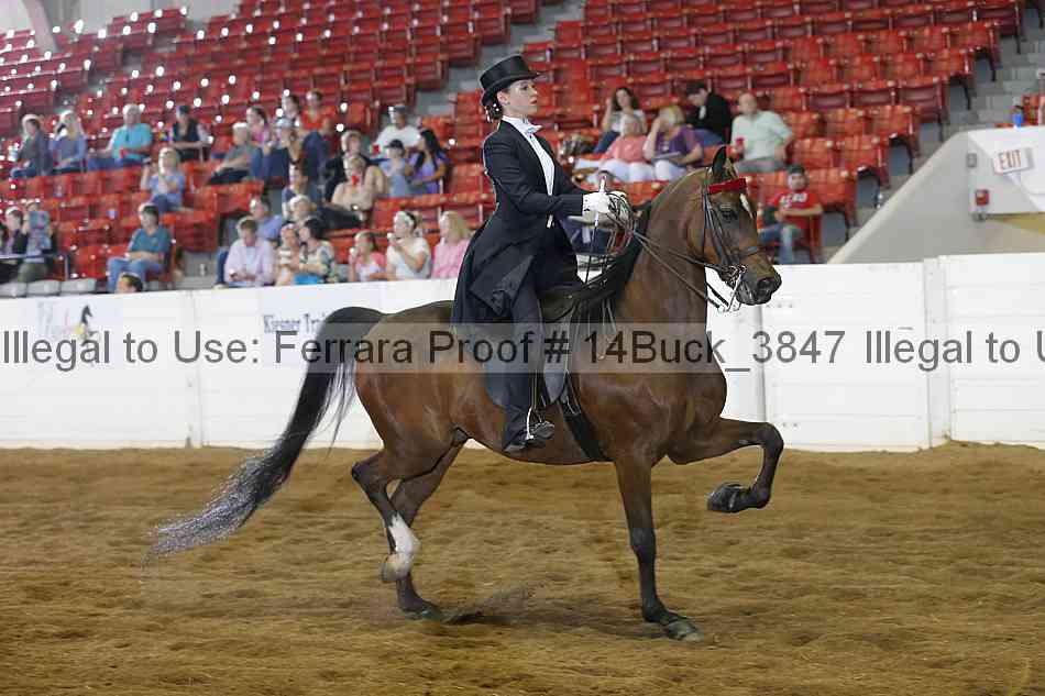 Proof 14buck_3847