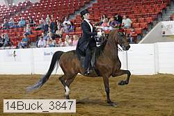 14buck_3847 proof