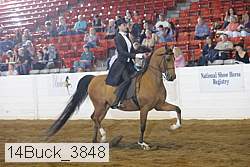 14buck_3848 proof