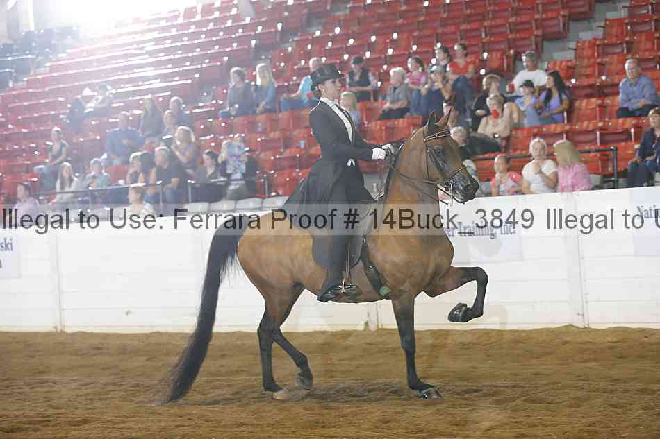 Proof 14buck_3849