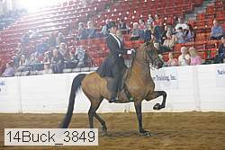 14buck_3849 proof