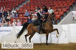 14buck_3850 proof