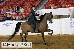 14buck_3851 proof