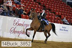14buck_3852 proof