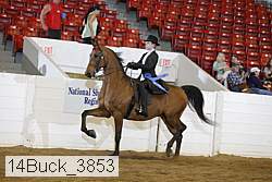 14buck_3853 proof