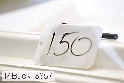14buck_3857 proof