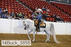 14buck_3858 proof