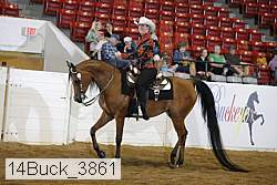 14buck_3861 proof