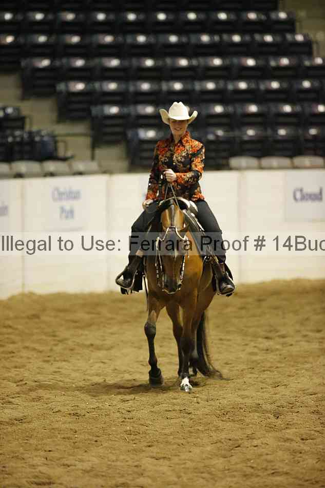 Proof 14buck_3862
