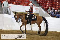 14buck_3863 proof