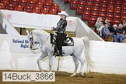 14buck_3866 proof
