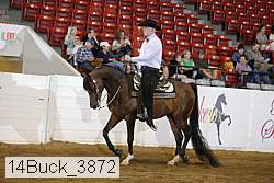 14buck_3872 proof
