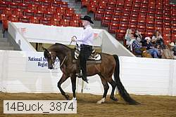 14buck_3874 proof