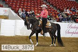14buck_3875 proof