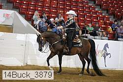 14buck_3879 proof