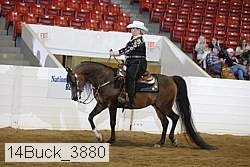 14buck_3880 proof