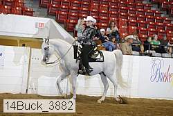 14buck_3882 proof