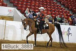 14buck_3883 proof