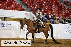 14buck_3884 proof