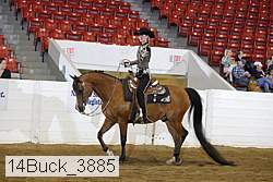 14buck_3885 proof
