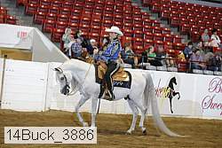 14buck_3886 proof
