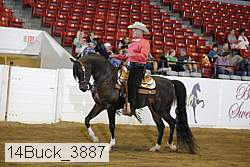 14buck_3887 proof