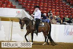 14buck_3888 proof