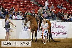 14buck_3889 proof