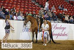 14buck_3890 proof