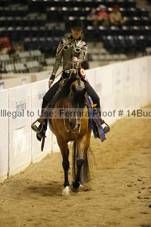 Proof 14buck_3891