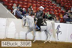 14buck_3896 proof