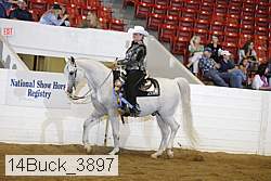 14buck_3897 proof