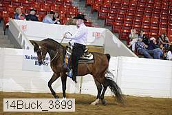 14buck_3899 proof