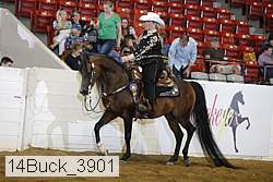 14buck_3901 proof