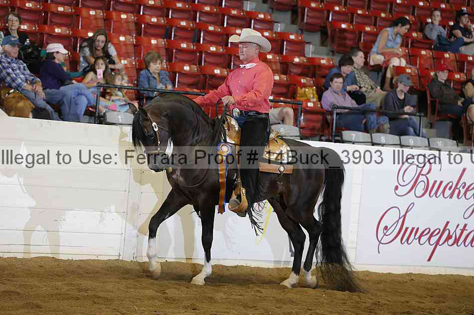 Proof 14buck_3903