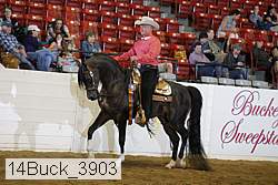 14buck_3903 proof