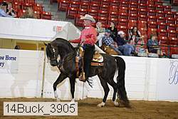 14buck_3905 proof