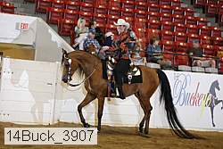 14buck_3907 proof