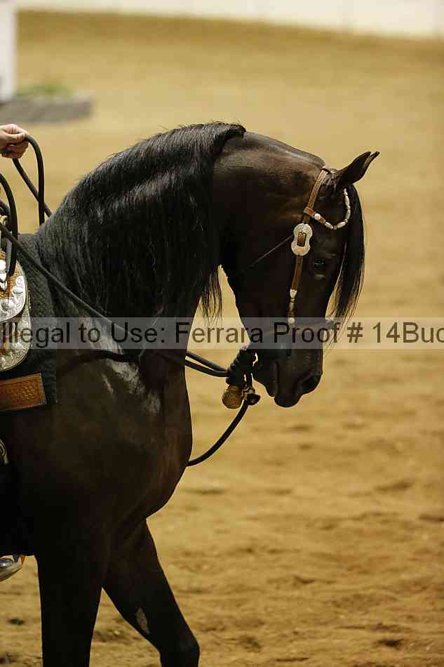 Proof 14buck_3908