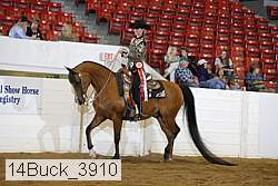 14buck_3910 proof