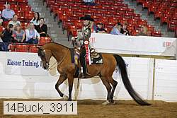 14buck_3911 proof