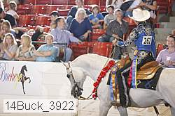 14buck_3922 proof