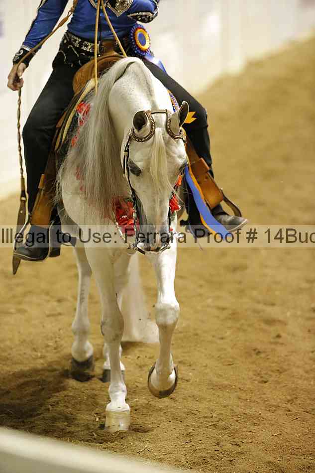 Proof 14buck_3924