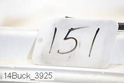 14buck_3925 proof