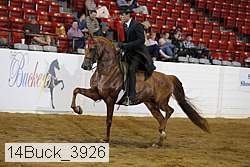 14buck_3926 proof