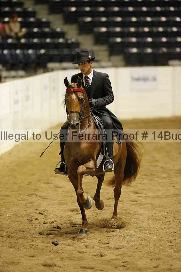 Proof 14buck_3927
