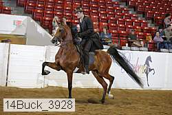 14buck_3928 proof