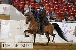 14buck_3930 proof