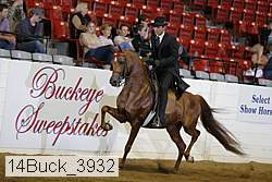 14buck_3932 proof